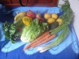 Bounty from the Dana Point Farmers Market